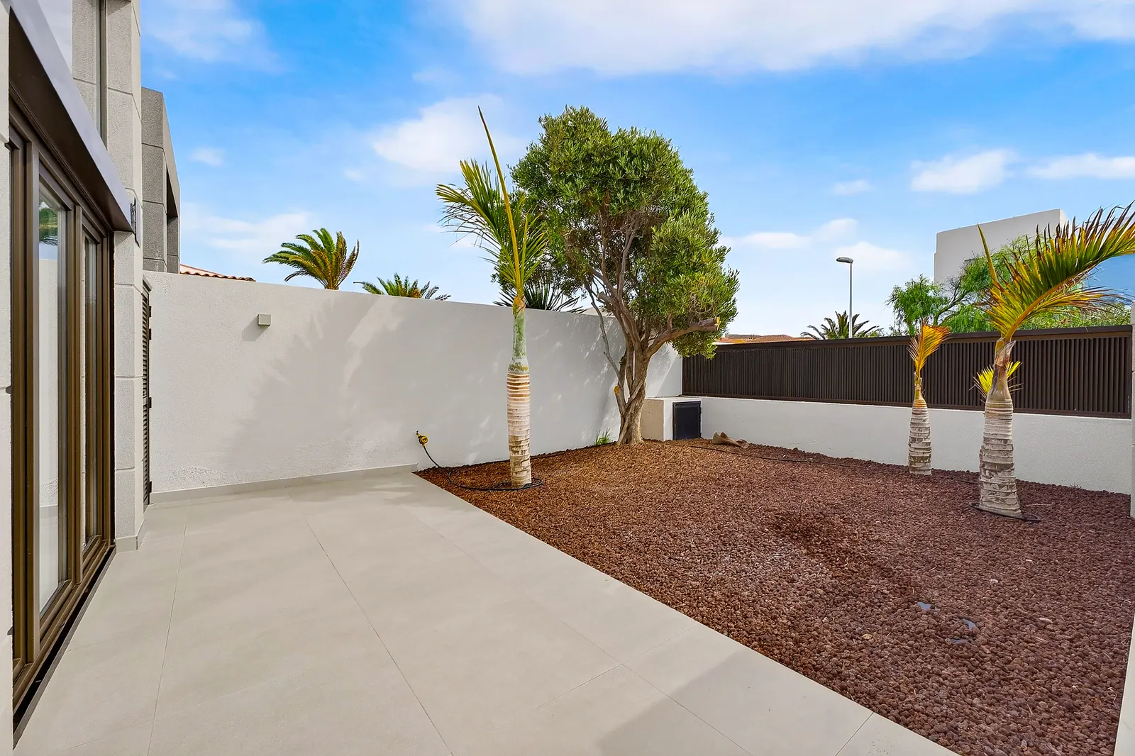 Jardín con palmeras y olivo