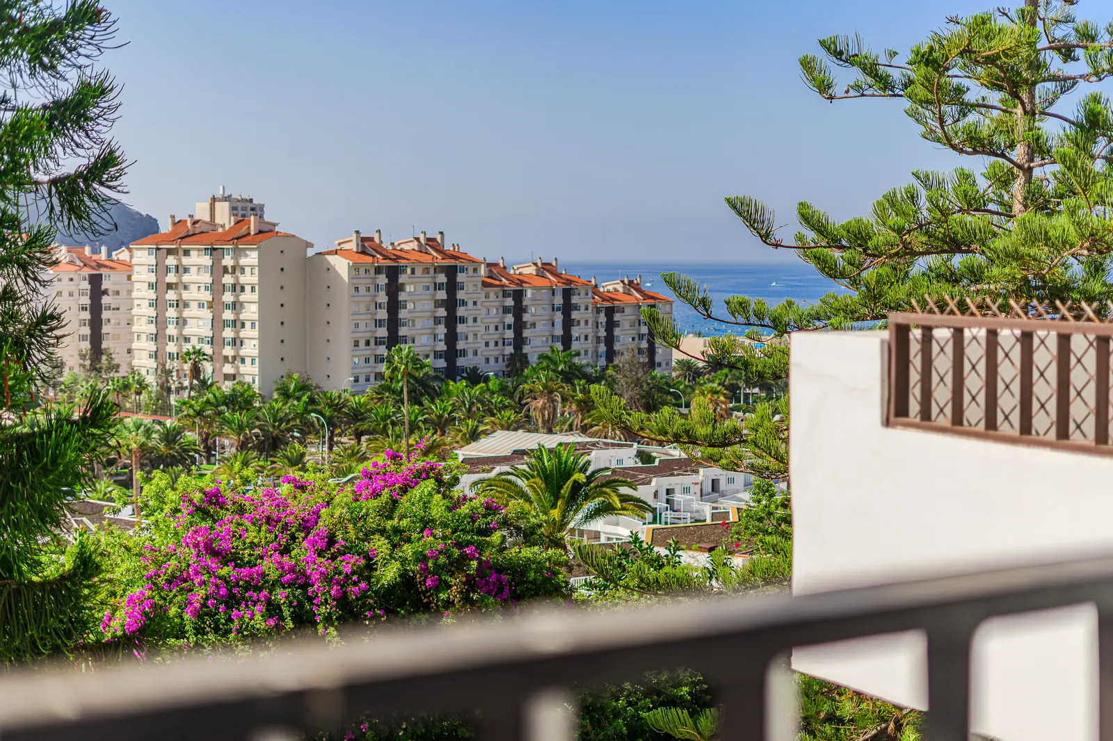 Detalle: vistas al mar entre pinos desde la terraza