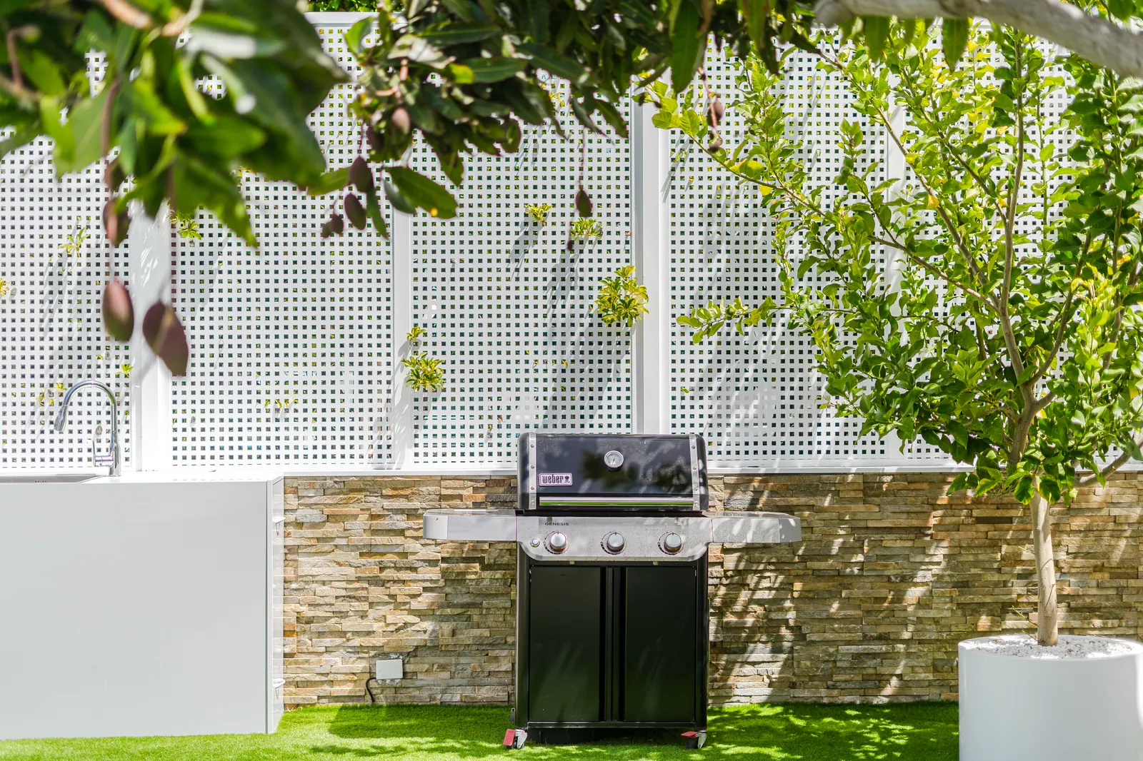 Detalle: barbacoa en el jardín
